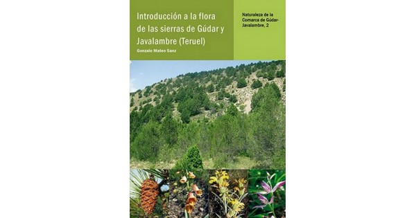 Libro: Introducción a la flora de las sierras de Gúdar y Javalambre  (Teruel) - Editorial: JOSÉ LUIS BENITO ALONSO