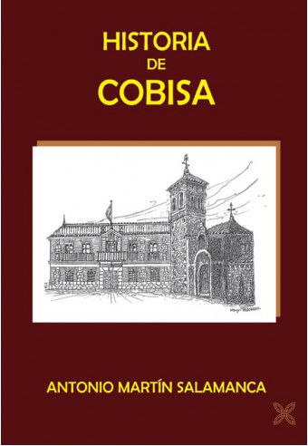 HISTORIA DE COBISA